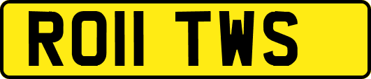 RO11TWS