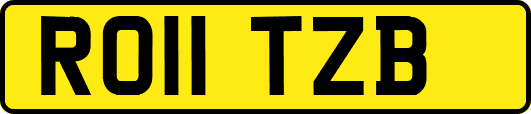 RO11TZB