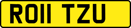 RO11TZU