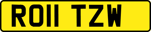 RO11TZW