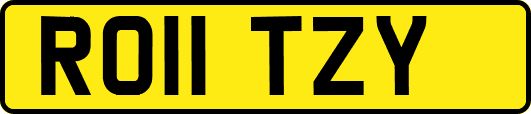 RO11TZY