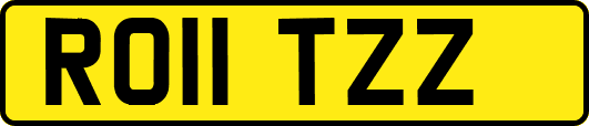 RO11TZZ