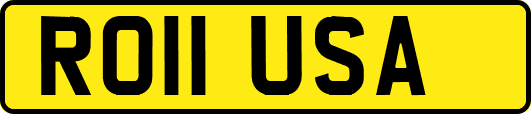 RO11USA