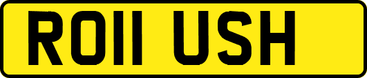 RO11USH