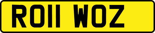 RO11WOZ