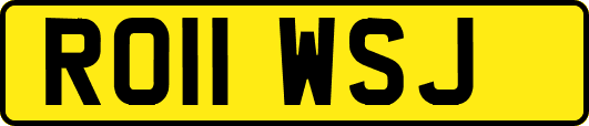 RO11WSJ