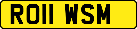 RO11WSM