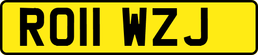 RO11WZJ