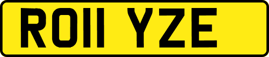 RO11YZE