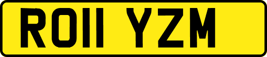 RO11YZM