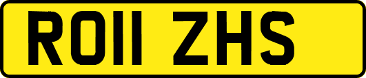 RO11ZHS