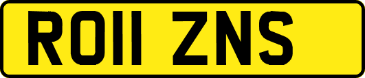 RO11ZNS