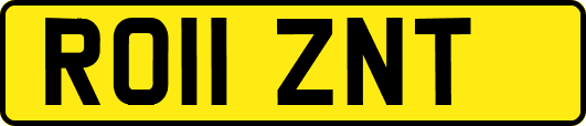 RO11ZNT