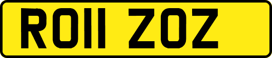 RO11ZOZ