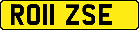 RO11ZSE