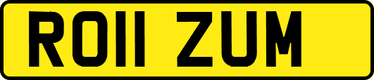 RO11ZUM