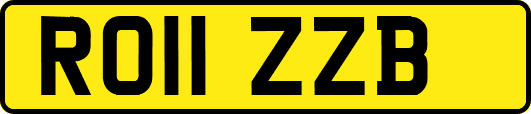 RO11ZZB