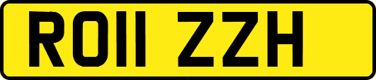 RO11ZZH