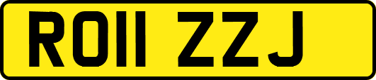 RO11ZZJ