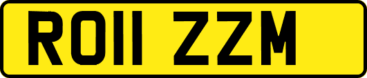 RO11ZZM