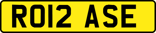 RO12ASE