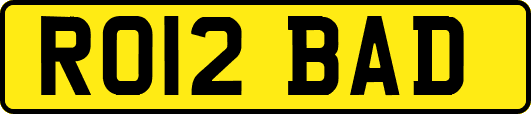 RO12BAD