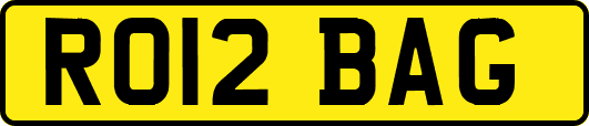 RO12BAG