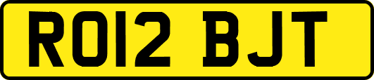 RO12BJT