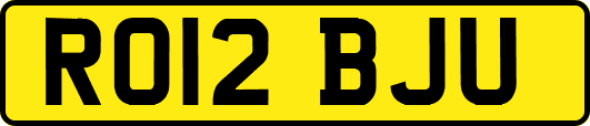 RO12BJU