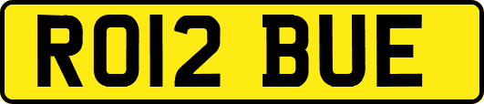 RO12BUE