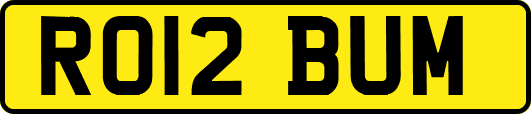 RO12BUM