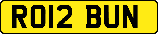 RO12BUN