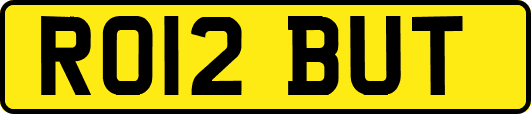 RO12BUT