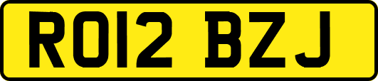 RO12BZJ