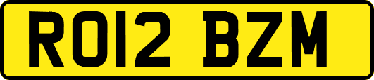 RO12BZM