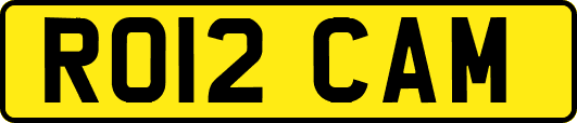 RO12CAM
