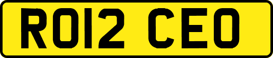 RO12CEO
