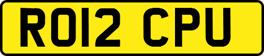 RO12CPU