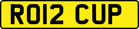 RO12CUP