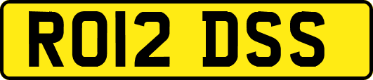 RO12DSS
