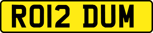 RO12DUM
