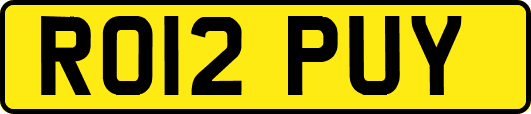 RO12PUY