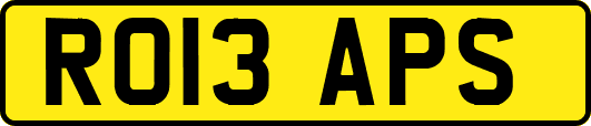 RO13APS