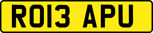 RO13APU