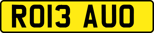 RO13AUO