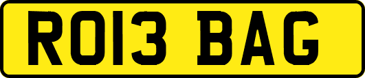 RO13BAG