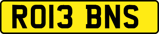 RO13BNS