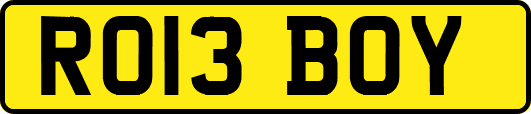 RO13BOY