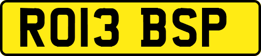 RO13BSP