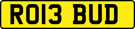 RO13BUD